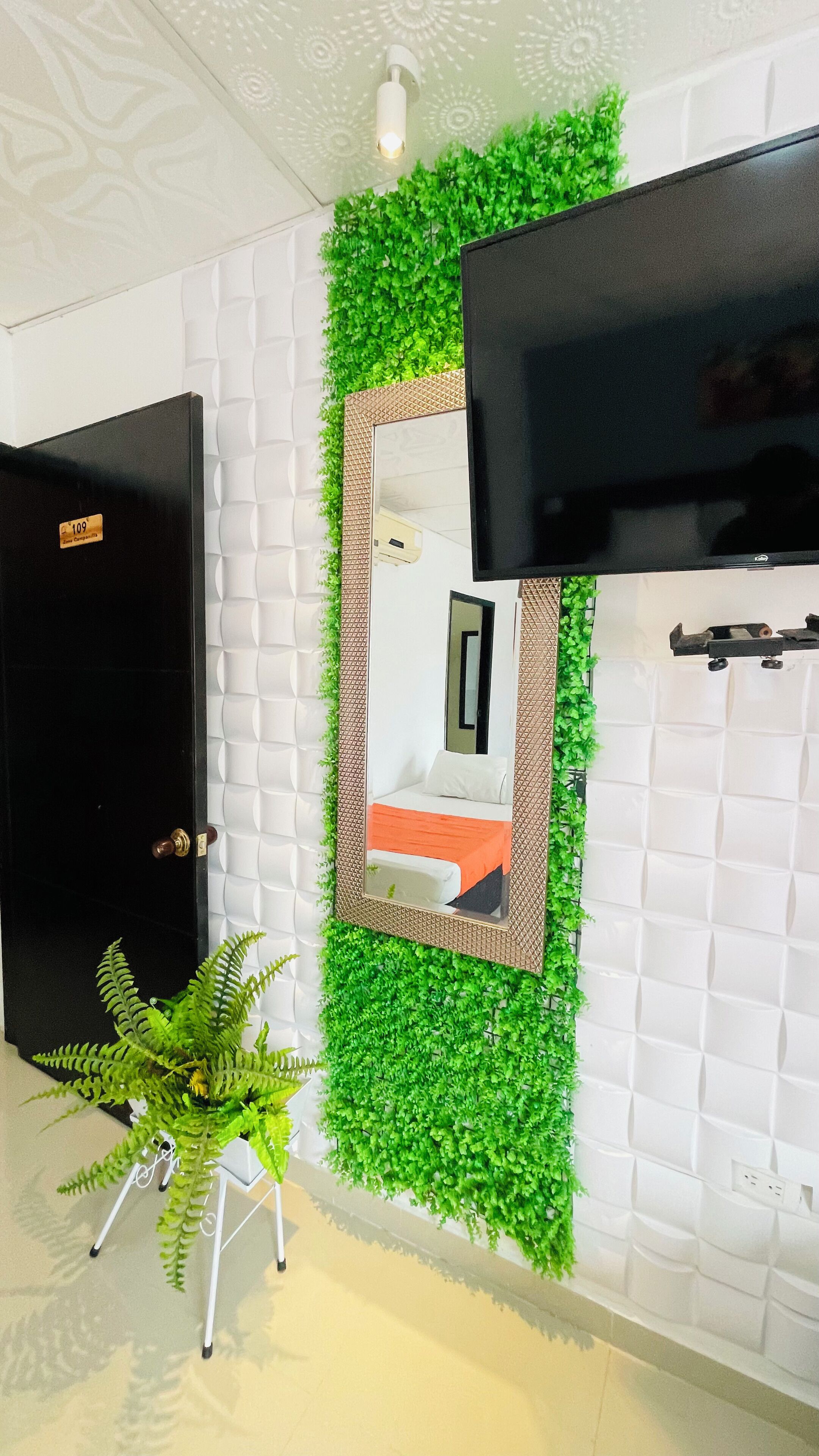 A room with a black door, a mounted TV, a mirror, and green artificial plants.