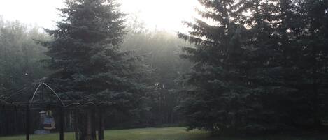 A gazebo in a forested area with tall trees and a grassy field.