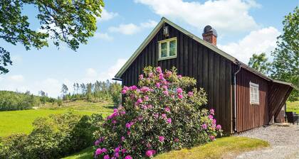 Amazing home in Färgelanda with WiFi