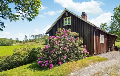 Amazing home in Färgelanda with WiFi