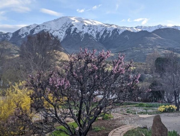 Terrain de lâhĂ©bergement