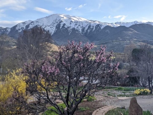 Private basement apartment with incredible view!