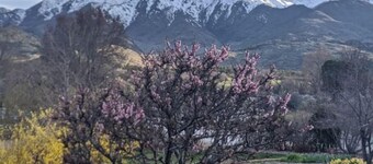 Private basement apartment with incredible view!