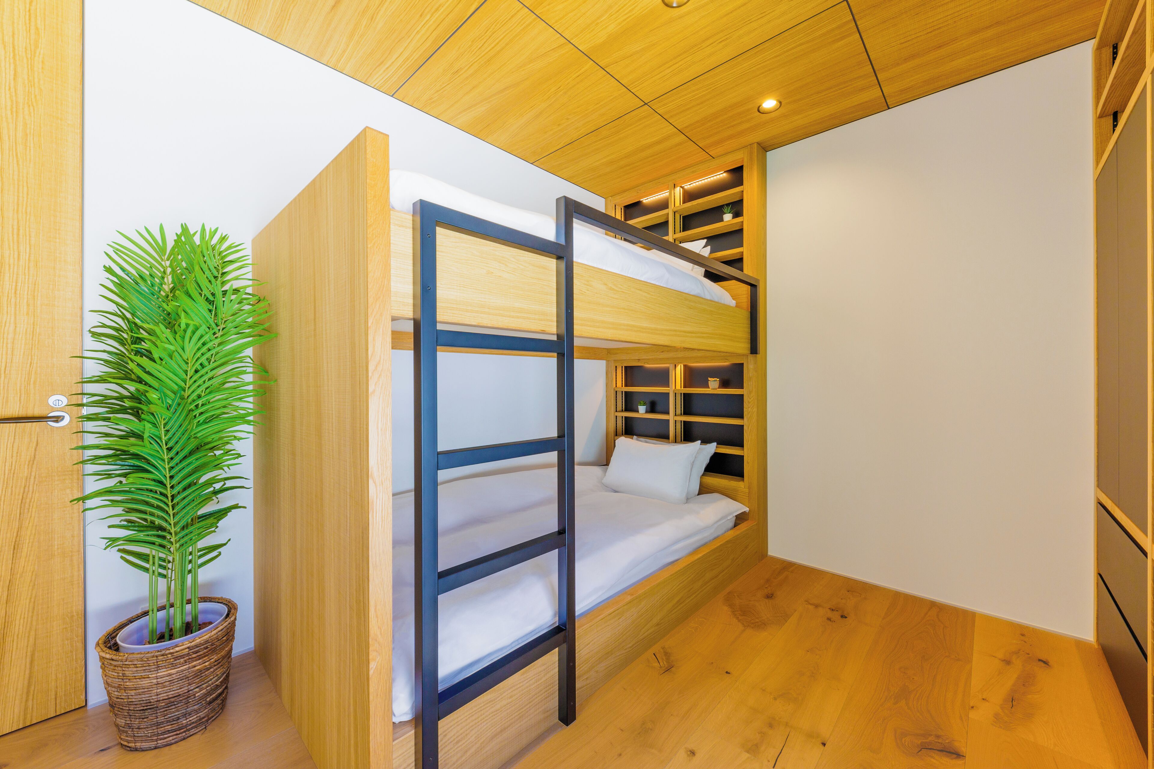 Un letto a castello con struttura in legno, una pianta in vaso e scaffali a muro.