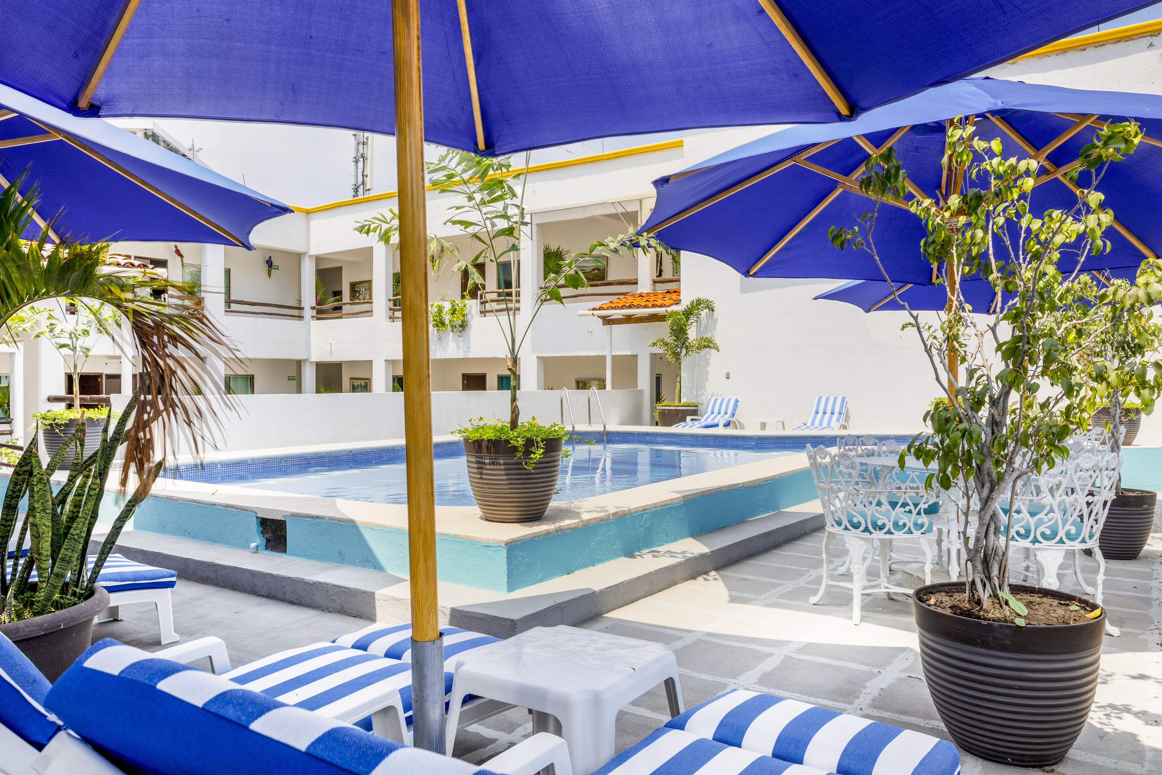 Photo - Hotel Pueblito Vallarta
