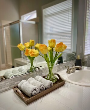 Chuveiro, secador de cabelo, toalhas de banho, sabonete