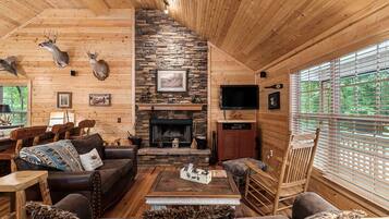 Télévision, cheminée, chaîne hi-fi