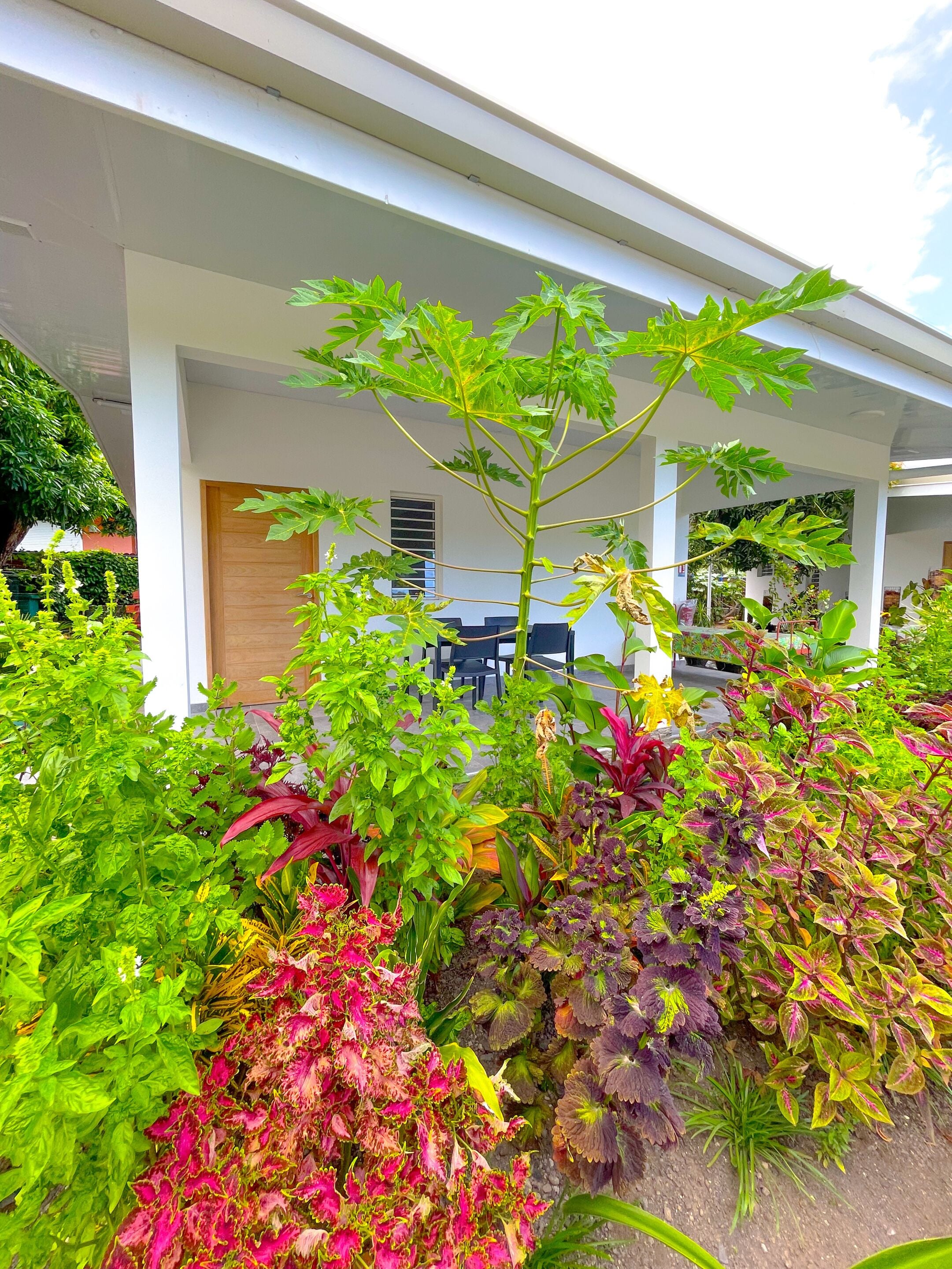 平房, 无障碍, 独立浴室 | 外观