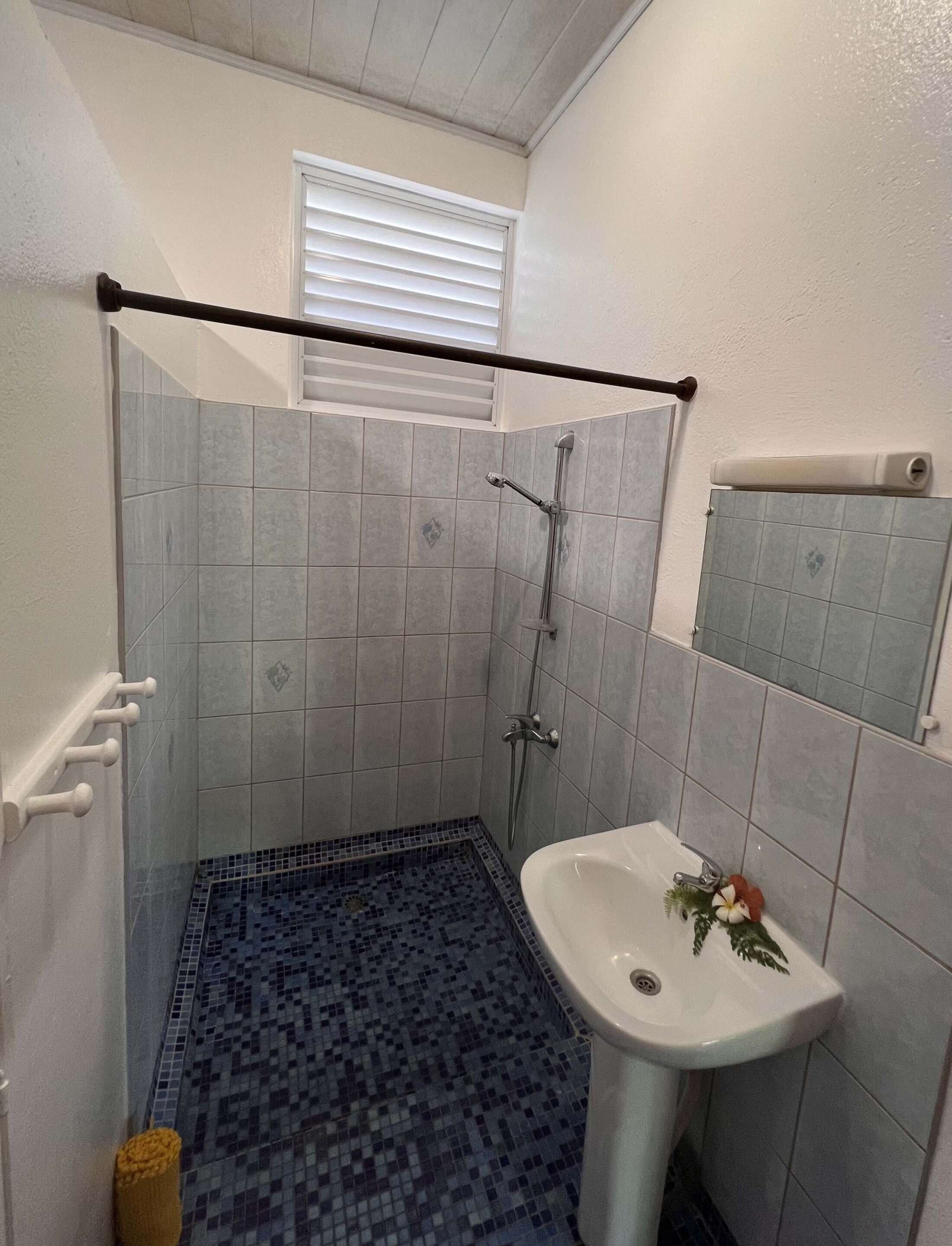 Une salle de bain avec une douche, un lavabo et une fenêtre.