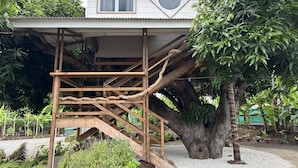 A treehouse with a wooden staircase leading up to a white building with a window and a circular skylight.
