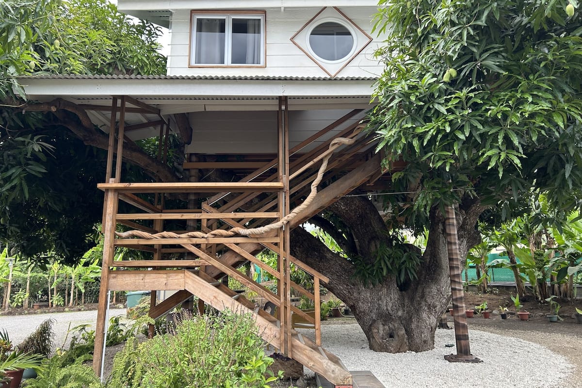 Una casa del árbol con una escalera de madera que conduce a un edificio blanco con una ventana y un tragaluz circular.