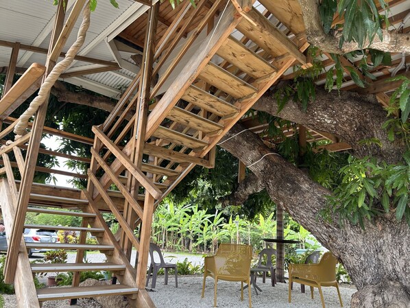 Panorama boomhut, en-suite badkamer, uitzicht op tuin | Ingang accommodatie