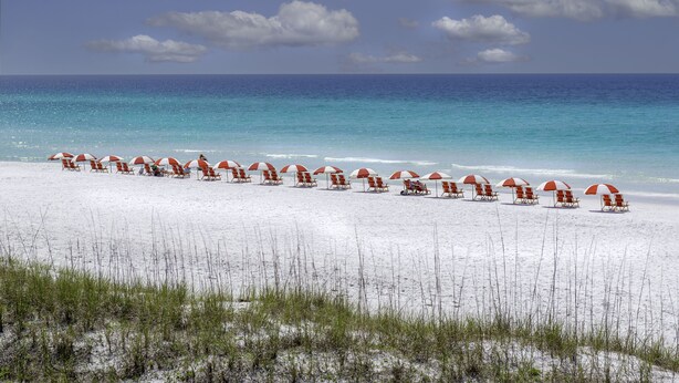 A beach with rows of beach chairs and umbrellas, a clear sky, and the ocean in the background. - Gulf Bliss: 5MinWalkToBeach,Pool,Yard,CloseToAll (Miramar Beach)