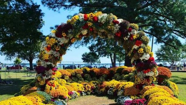A floral archway with a variety of colorful flowers arranged in a semi-circular pattern. - Lovely 1 BR with King bed Apt 2 (New Bern)