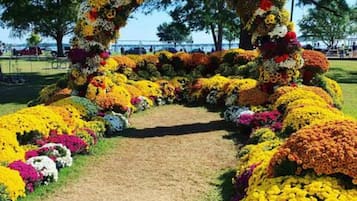 Outdoor banquet area