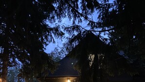 Een klein huis met veranda, treden en lichtjes.