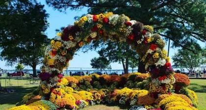 Lovely 1 BR with King bed Apt 4