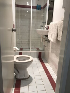 Hair dryer, towels, soap, toilet paper