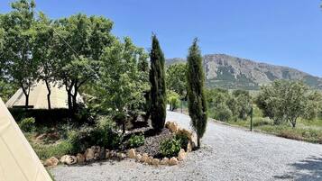 Área da propriedade