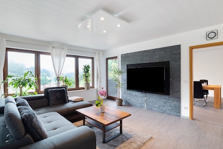 TV, fireplace. Apartment 'Haus Erika' with Private Terrace, Shared Garden and Wi-Fi