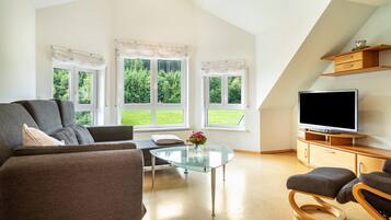 Fernseher, Stereoanlage