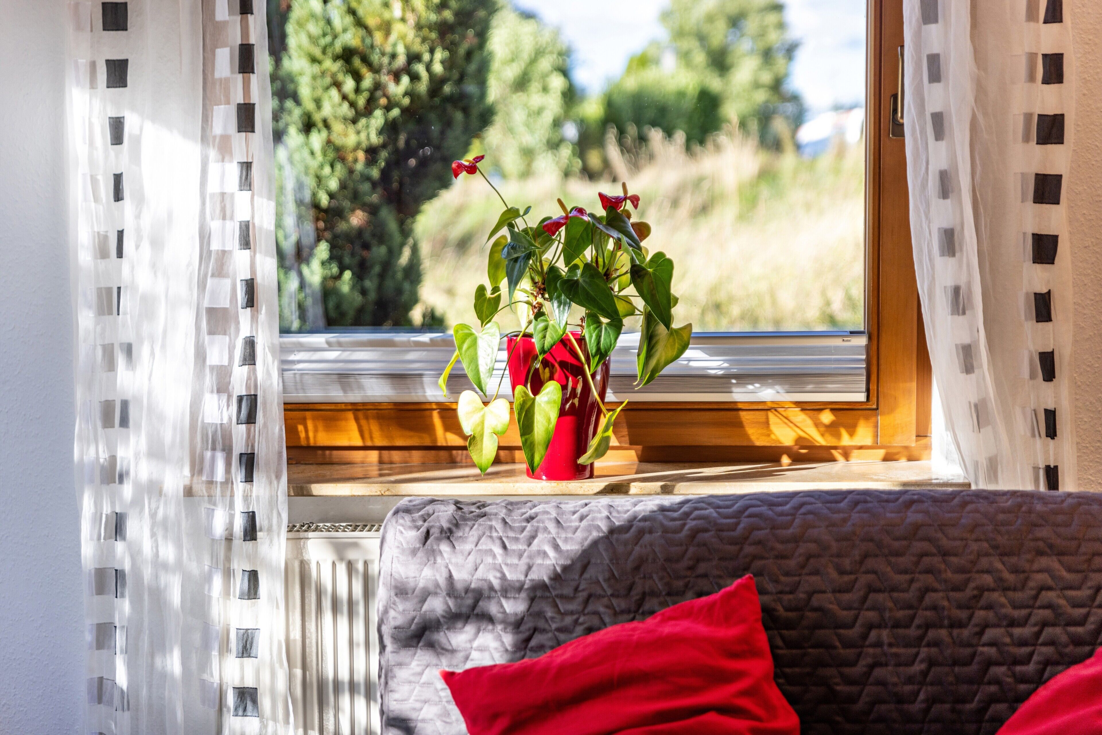 Una ventana con vistas a la vegetación, un florero rojo con una planta y un sofá gris con un cojín rojo.