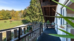 A balcony with a view of a grassy field and trees, wooden railings, and potted plants.