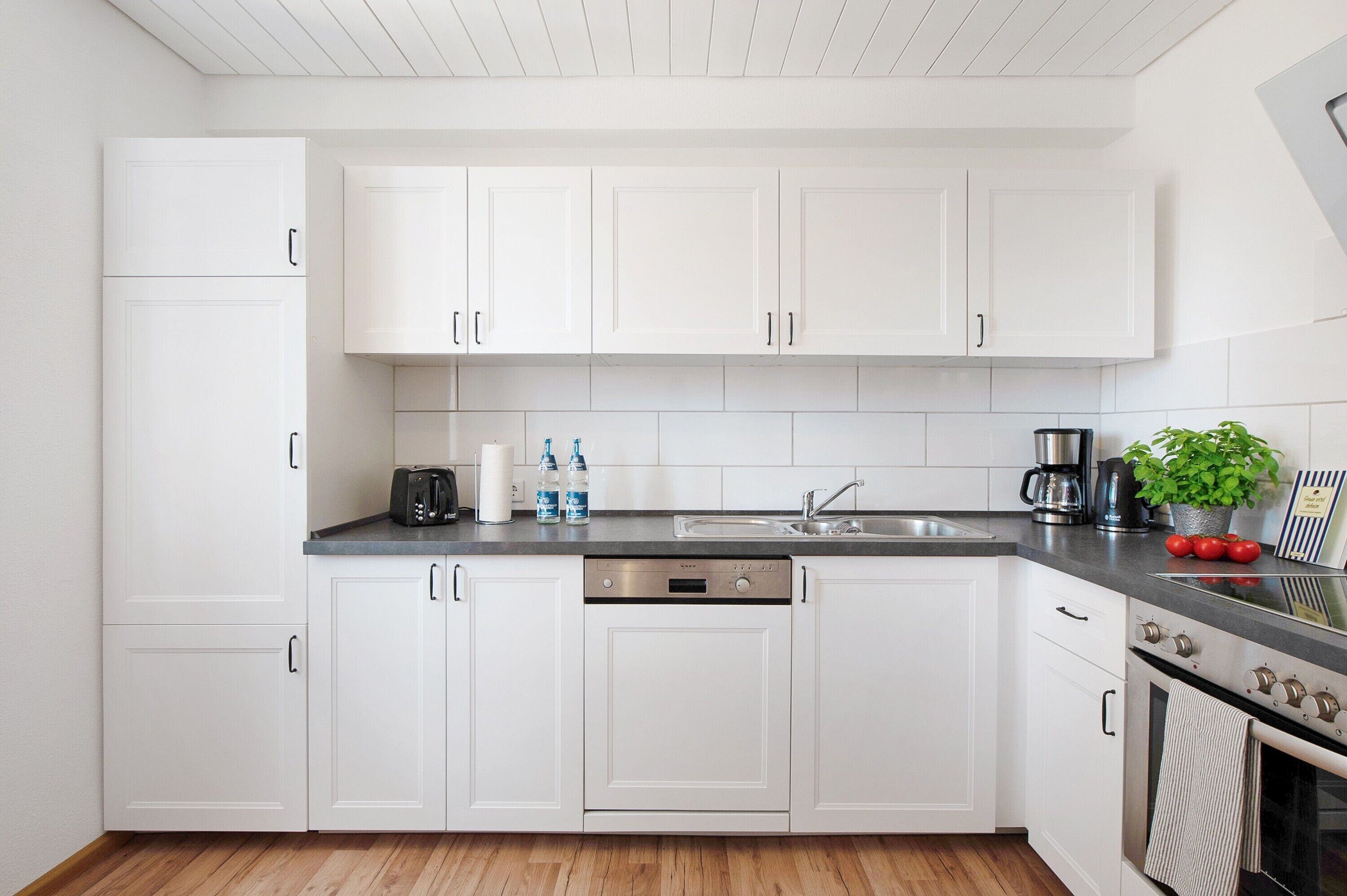 Fridge, oven, stovetop, dishwasher