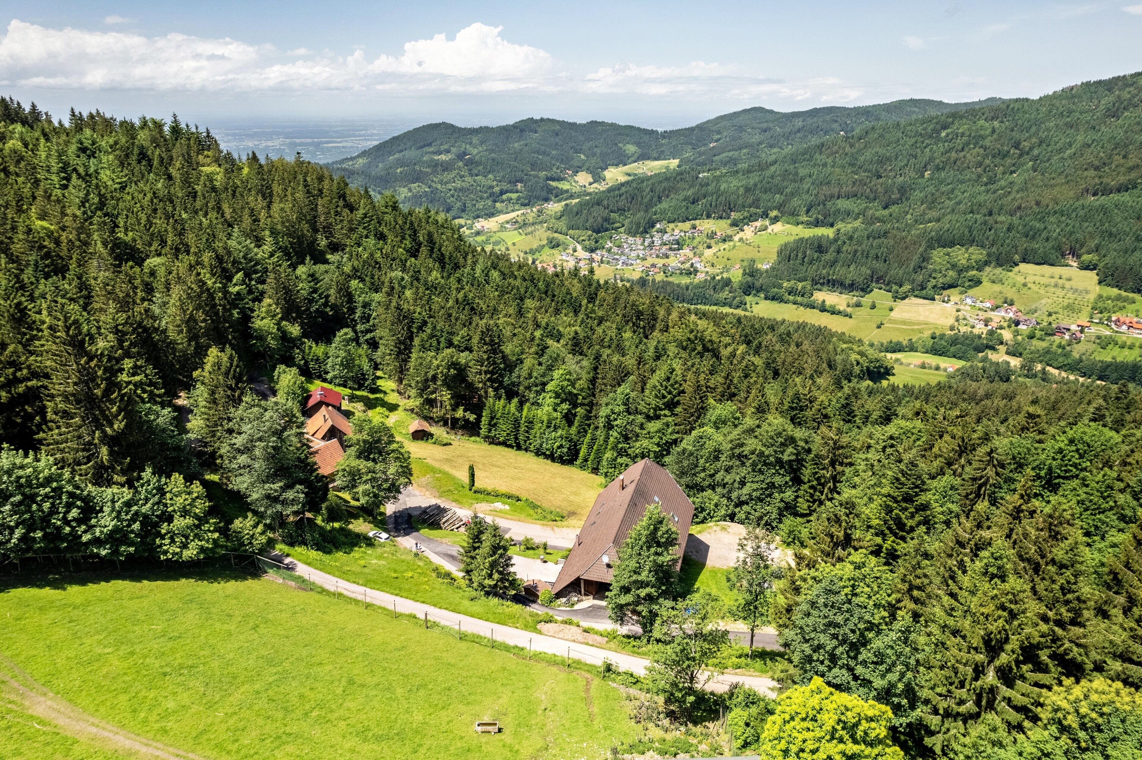 A rural landscape with a house surrounded by dense forest, a clear sky, and distant hills.