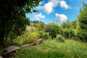 Property grounds - Studio Nivolet with WiFi: City and Lake View – Ideal for Couples with Children (Gérardmer)