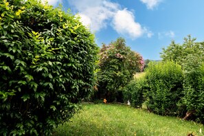 Un jardin luxuriant, avec différentes espèces d’arbustes verts et un arbre aux fleurs roses.