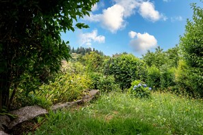 Property grounds - Studio Margeriaz with WiFi: Panoramic View of the City and Lake – Ideal for Couples with Children (Gérardmer)