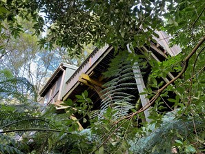 Exterior detail - Sassafras Treehouse in The Dandenong Ranges, Victoria (Sassafras)