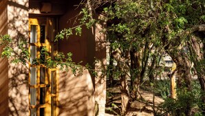 Un edificio rústico de madera con techo de paja, una terraza de madera y una puerta con paneles de vidrio.