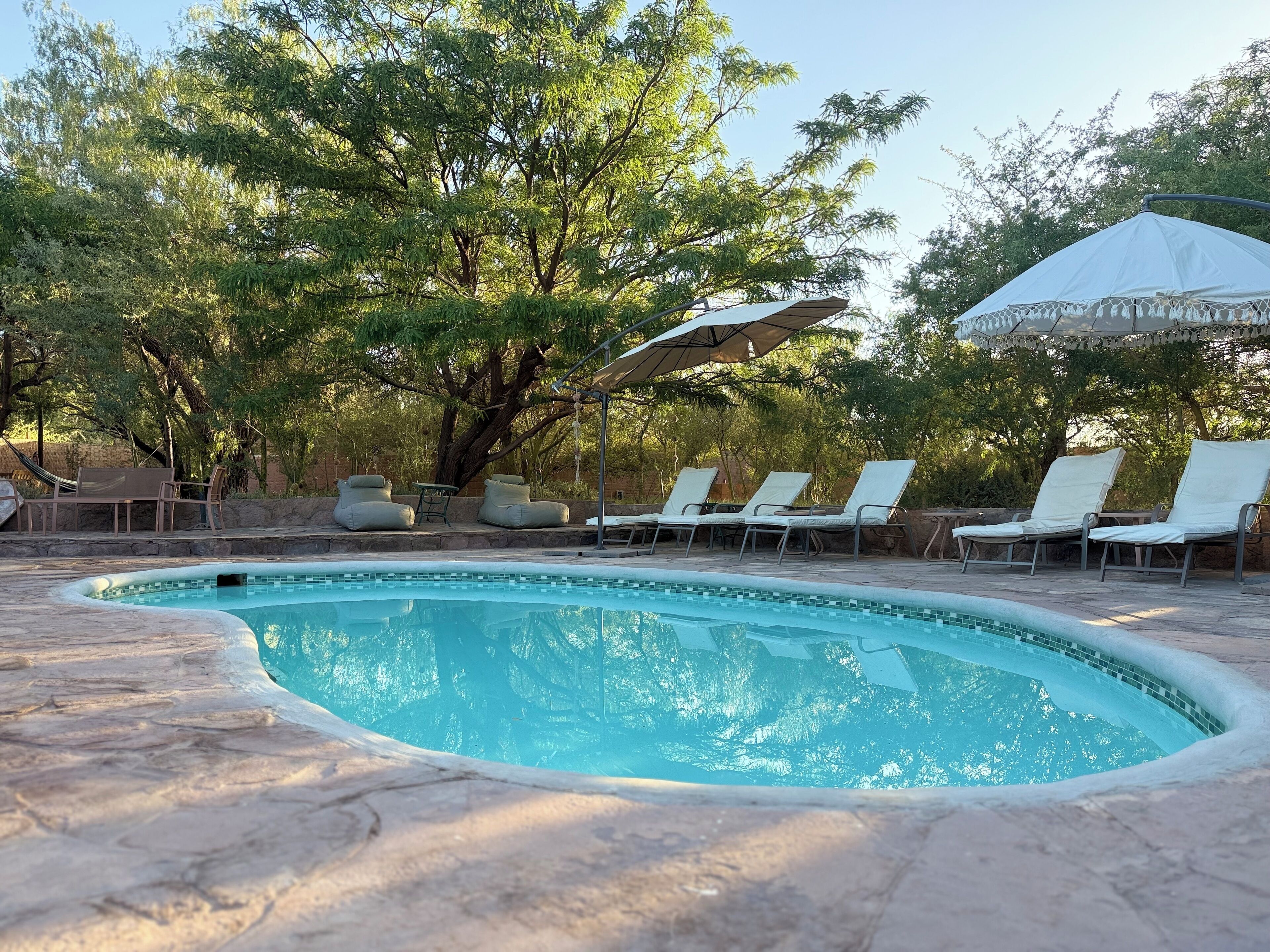 Outdoor pool, pool umbrellas, sun loungers