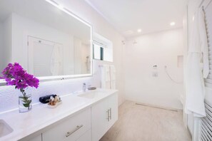 Shower, hair dryer, towels, shampoo
