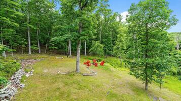 Àrea exterior de l'allotjament