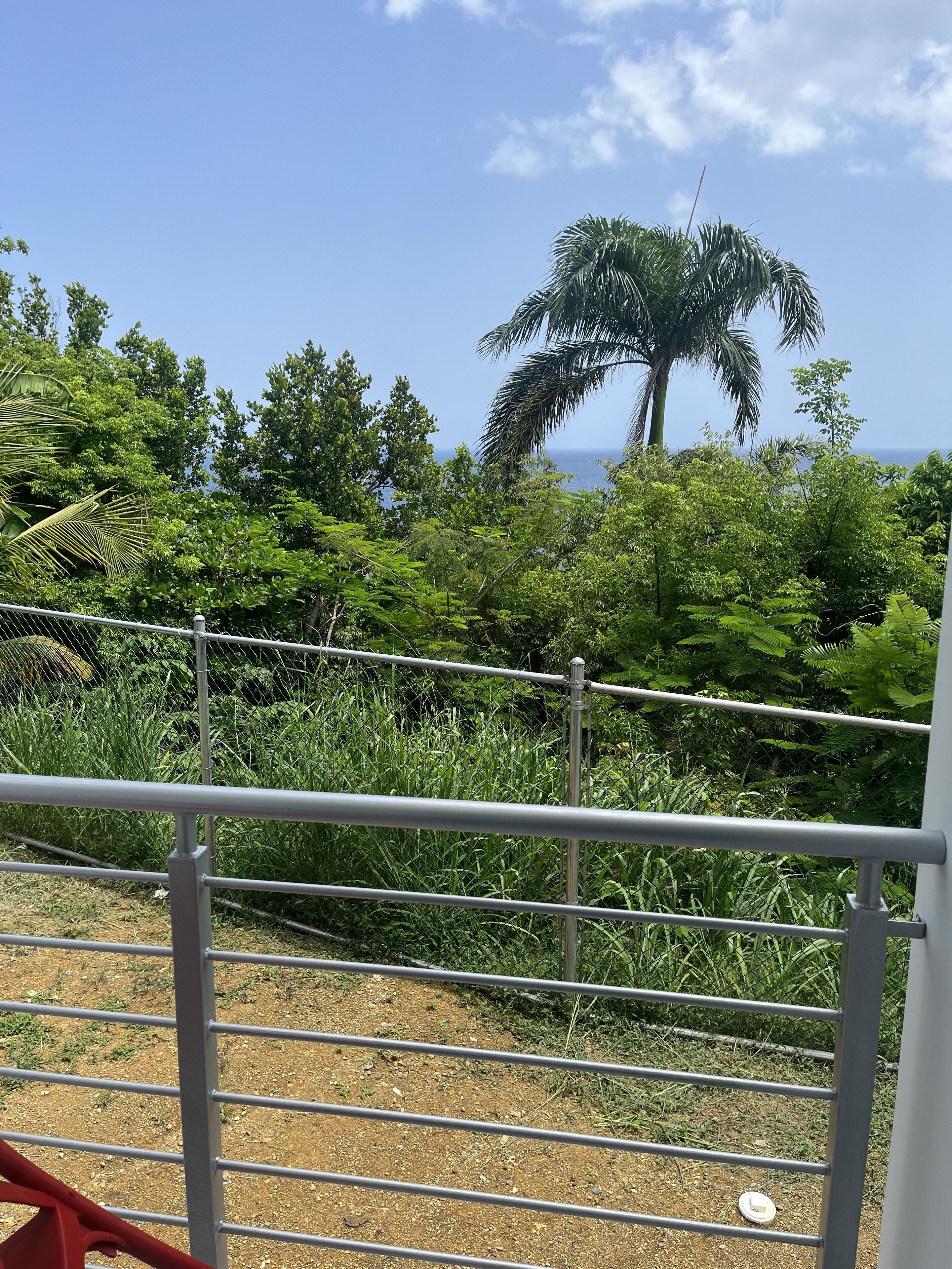 A fenced area with dense greenery and a clear view of the ocean in the background.