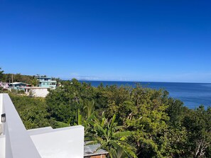 Terrace/patio - Red Flamboyan Guesthouse (Rincon)