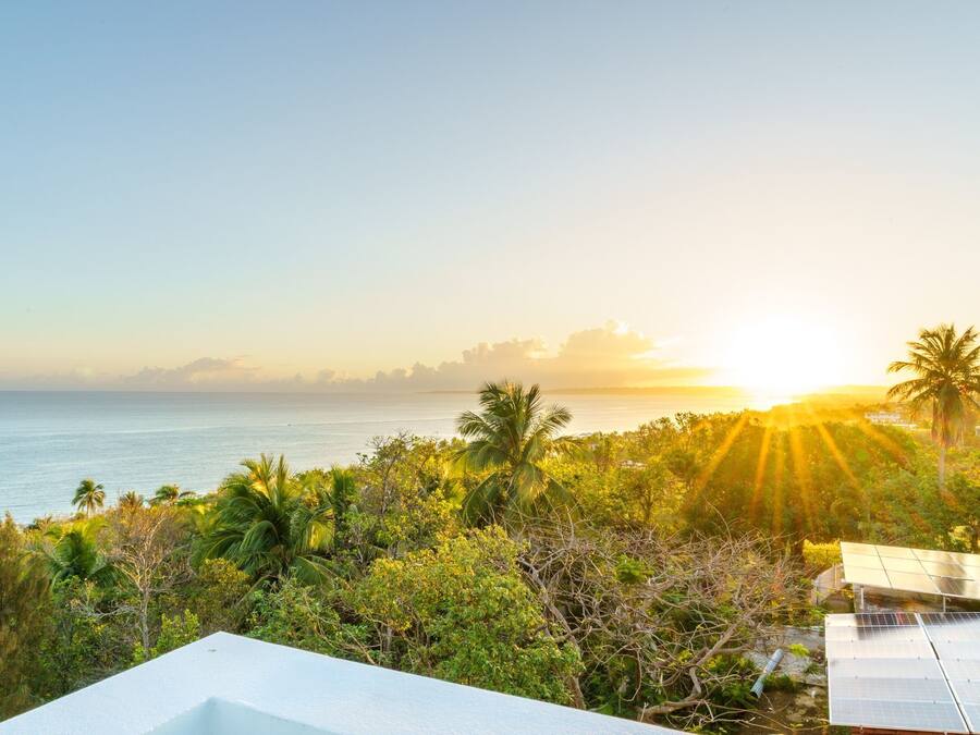 A coastal landscape with solar panels, palm trees, and a sunset view.
