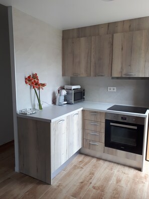 Mikrobølgeovn, ovn, kokeplater og oppvaskmaskin