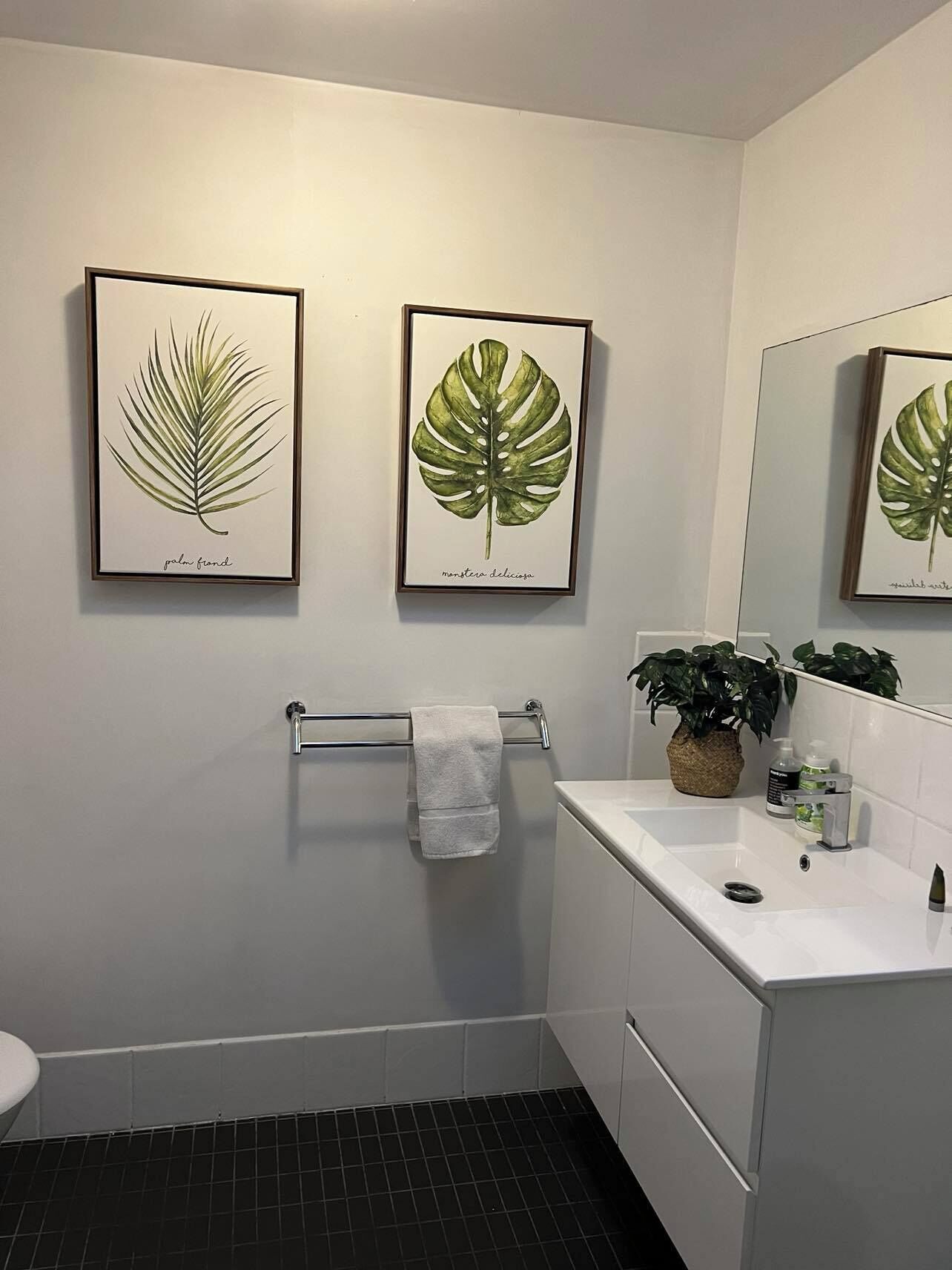 A bathroom with a white sink, a towel rack with a white towel, and two framed botanical prints on the wall.