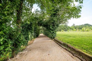 A gravel path flanked by lush green foliage, leading to a grassy area.