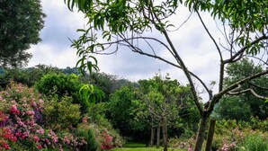 A lush garden with a variety of flowering plants and trees, a grassy path, and a wooden fence in the foreground.