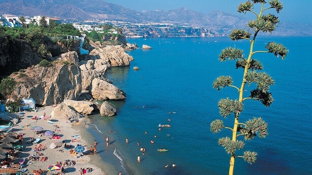 A coastal beach scene with rocky cliffs, clear blue sea, and a prominent tree in the foreground.