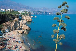 Escena de playa costera con acantilados rocosos, mar azul cristalino y un árbol destacado en primer plano.