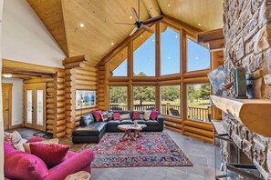 TV, fireplace, video games, offices