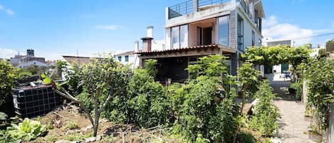 A modern two-story house with a balcony, surrounded by greenery and a garden.