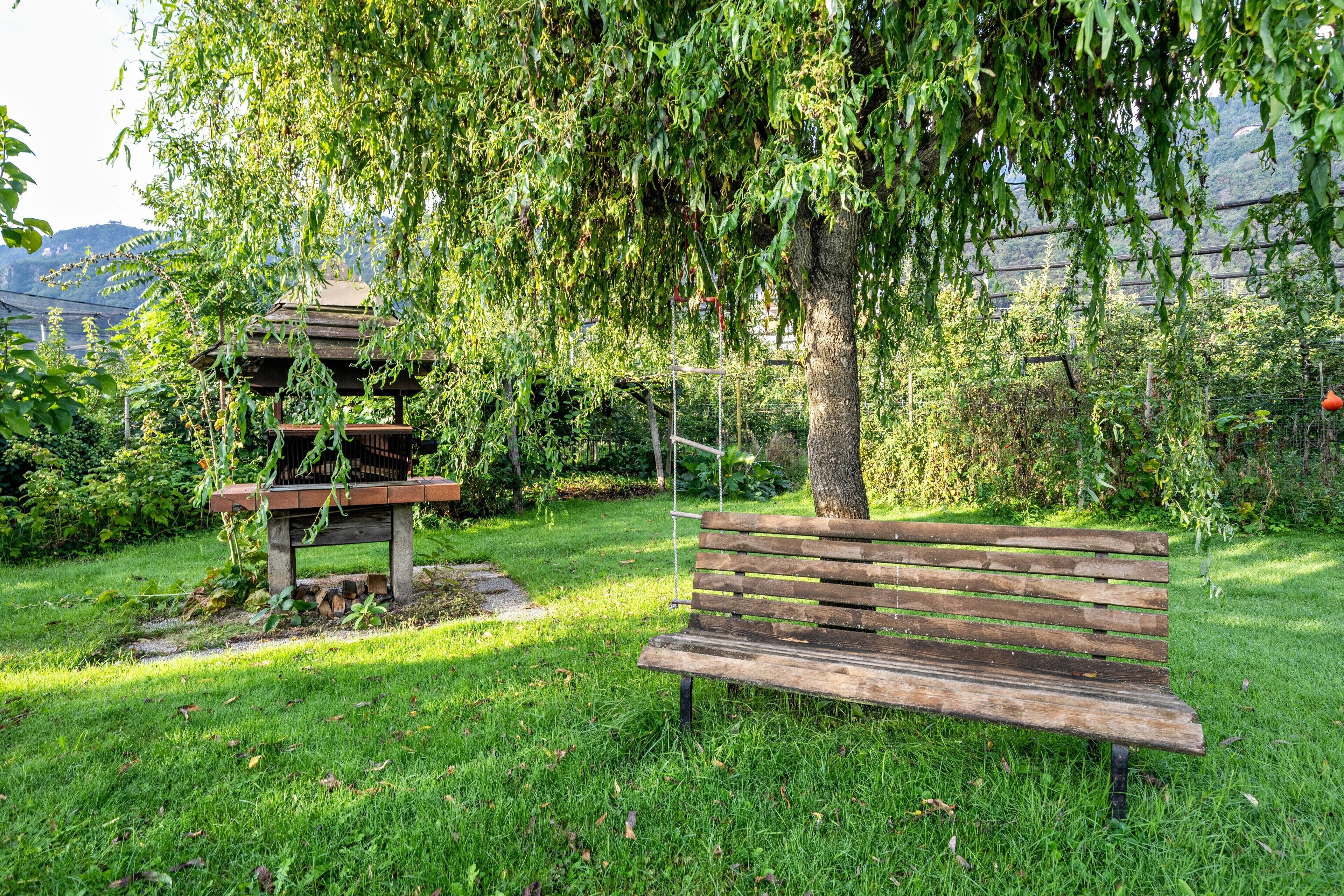 A park with a wooden bench and a pagoda-style structure.