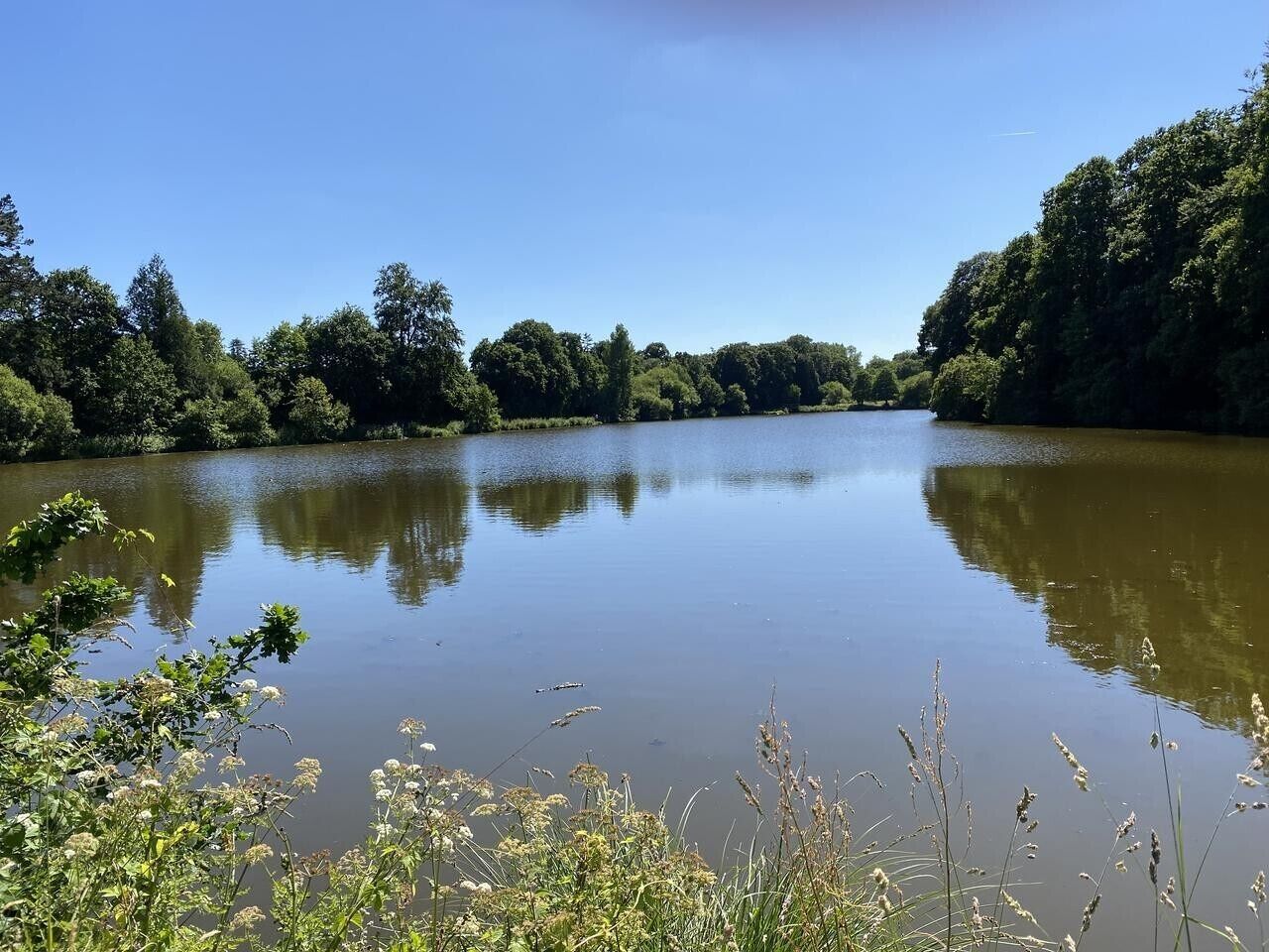 Ein ruhiger Fluss, gesäumt von dichtem Baumbestand.